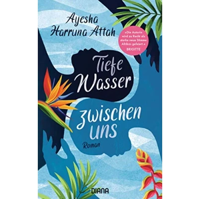 Abbildung von Tiefe Wasser zwischen uns: Roman