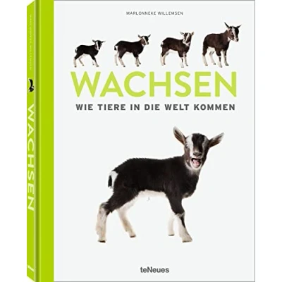 Abbildung von Wachsen: Wie Tiere in die Welt kommen