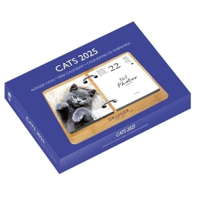 Abbildung von DRAEGER PARIS Abreißkalender Yvon 2025, 7 Sprachen, 365 Blatt und wiederverwendbarer Bambussockel, 1 Foto für jeden Tag des Jahres, Katzen, Terminhalter