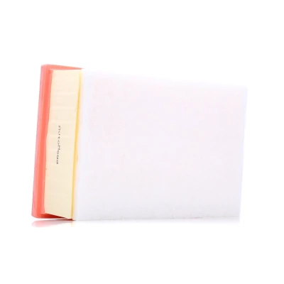 Abbildung von AUTOMEGA 180029010 Luftfilter 77 168 246 rechteckig Filtereinsatz PEUGEOT: 307 Schrägheck, CC, SW, CITROËN: C4 I Coupe