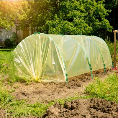 Abbildung von Windhager Schutzplane, Wachstumsfolie, gelb, 2x10 m