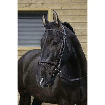 Abbildung von Riding World Trense mit Kombiniertem Nasenriemen VB