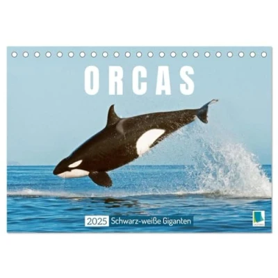 Abbildung von Orcas: Schwarz weiße Giganten (Tischkalender 2025 DIN A5 quer), CALVENDO Monatskalender
