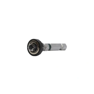 Abbildung von Magnetischer Bit Torx 40 für Tellerkopschrauben pro Stück