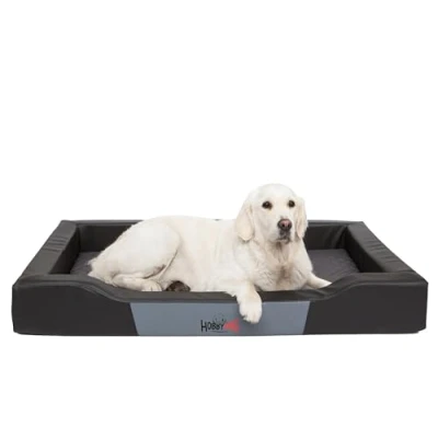 Abbildung von Bjird Tierbett Hundebett Charly aus Kunstleder, Bezug abnehbar und waschbar, Hundesofa für kleie grosse Hunde, Größe: S,M,L(XL)