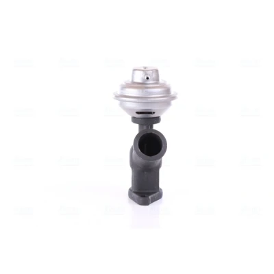 Abbildung von NISSENS 98343 AGR Ventil ohne Kühler PEUGEOT: 307 Schrägheck, Kombi, SW, CITROËN: C5 I Schrägheck