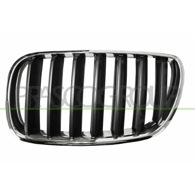 Abbildung von BLIC 6502 07 00939950P Kühlergrill vorne links grau, chrom BMW: X3