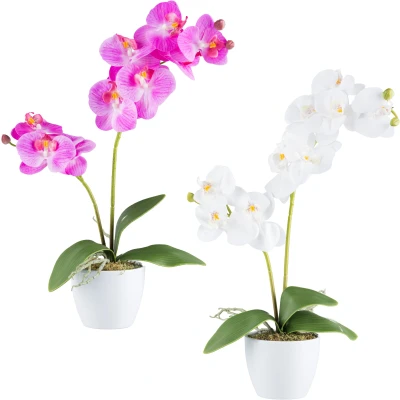 Abbildung von Creativ green Kunstorchidee &quot;Orchidee Phalaenopsis&quot;, mit real touch Blüten