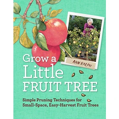 Abbildung von Grow a Little Fruit Tree: Simple Pruning Techniques for Small Space, Easy Harvest Trees