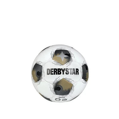 Abbildung von Derbystar Brillant TT v25