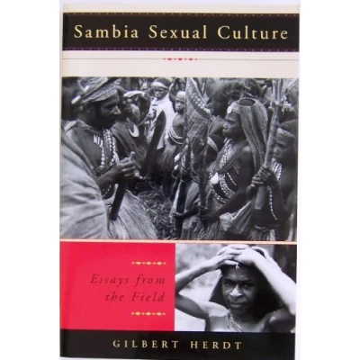 Abbildung von Sambia Sexual Culture: Essays from The Field (Worlds of Desire: Chicago Series on Sexuality, Gender, and Culture)