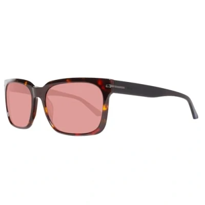 Abbildung von GANT GA7073 5656E Sonnenbrille Rechteckig 56, Braun