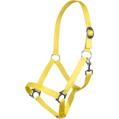 Abbildung von Pferd Halfter Stars Economy Softice neon gelb