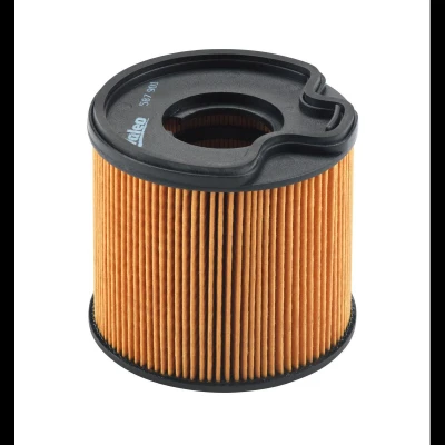 Abbildung von VALEO 587901 Kraftstofffilter Filtereinsatz PEUGEOT: 307 Schrägheck, 206 SW, CITROËN: C5 I Xsara Picasso