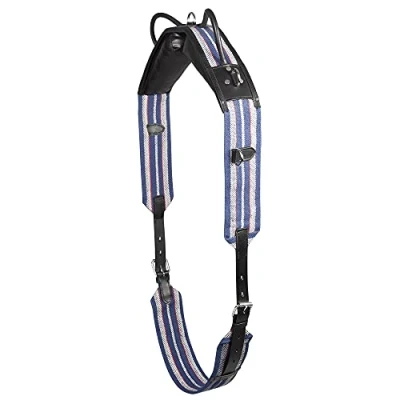 Abbildung von Pfiff 004191 Reitgurt, 2 Griffe, Sattelloses Reiten, Cob