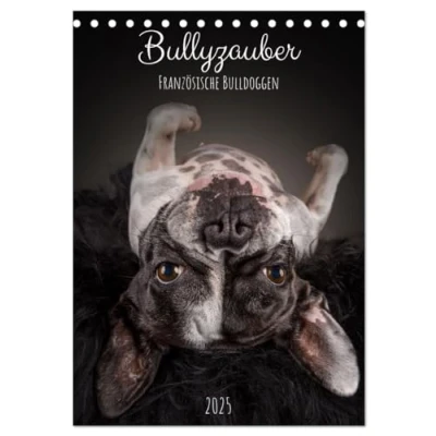 Abbildung von Bullyzauber Französische Bulldoggen (Tischkalender 2025 DIN A5 hoch), CALVENDO Monatskalender