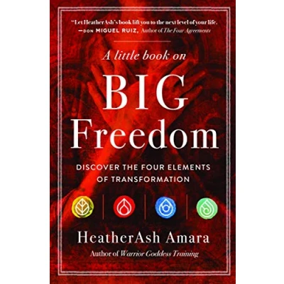 Abbildung von A Little Book on Big Freedom: Discover the Four Elements of Transformation (Warrior Goddess Series Part II)