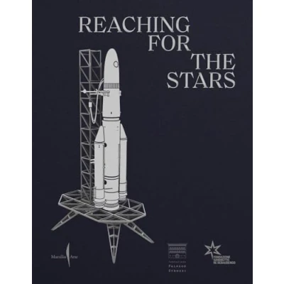 Abbildung von Reaching for the Stars: From Maurizio Cattelan to Lynette Yiadom Boakye