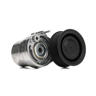 Abbildung von RIDEX 310T0531 Spannrolle RENAULT: Twingo 3 Schrägheck, SMART: Forfour II Fortwo III Coupe