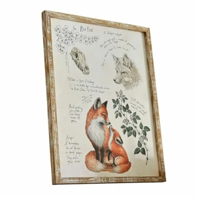 Abbildung von Loberon Dekoboard Survie, Naturgetreue Fuchsillustration, White Washed Finish, Wanddekoration, Wandbild, Kiefernholz Eisen, bunt