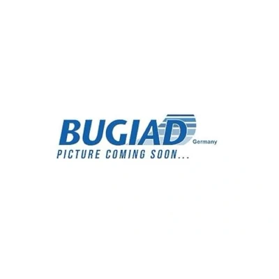 Abbildung von BUGIAD 82052 Ladeluftschlauch Kunststoff BMW: X3