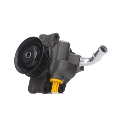 Abbildung von RIDEX 12H0170 Hydraulikpumpe hydraulisch 80 77 FORD: FIESTA 5, Fusion Kombi, MAZDA: 2 Hatchback