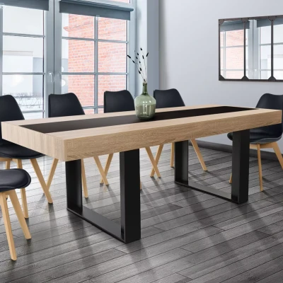 Abbildung von IDMarket Esstisch Phoenix für 10 Personen, Holz und Schwarz, zentrales Band, 225 cm