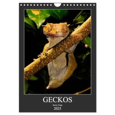 Abbildung von GECKOS (Wandkalender 2025 DIN A4 hoch), CALVENDO Monatskalender