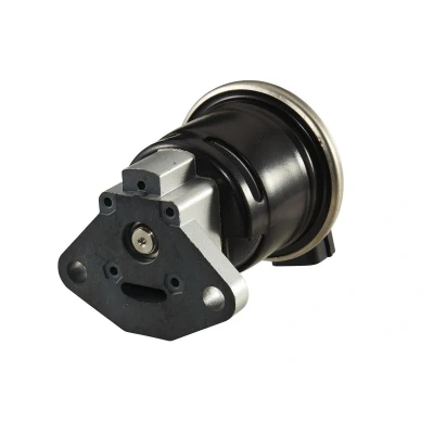 Abbildung von HELLA 6NU 010 171 731 AGR Ventil elektrisch mit Dichtung