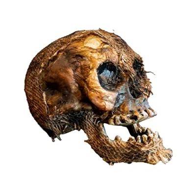 Abbildung von Horror Shop Dekoobjekt Vermoderter Totenschädel mit beweglichem Kiefer 22