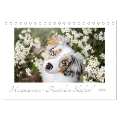 Abbildung von Herzensaussies Australian Shepherd (Tischkalender 2025 DIN A5 quer), CALVENDO Monatskalender