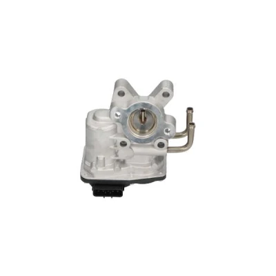Abbildung von KAVO PARTS EEG 6505 AGR Ventil elektrisch ohne Dichtung NISSAN: Patrol GR 5 SUV, Cabstar, RENAULT: Master Pro Kastenwagen