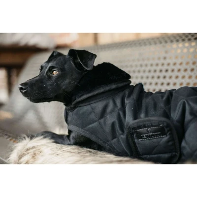 Abbildung von Kentucky Hundejacke Original Royal Schwarz 76cm