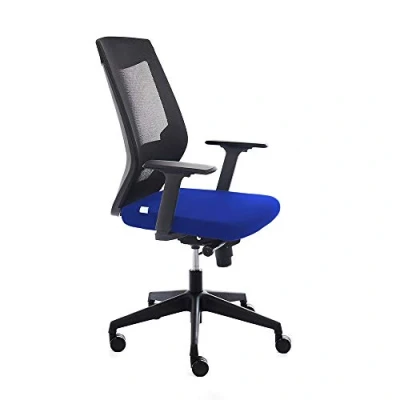 Abbildung von Rocada Ergonomischer Bürostuhl mit Lendenwirbelverstellung und Armlehnen Computer Schreibtischstuhl, bequem drehbar. Schwarz Blau
