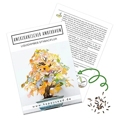 Abbildung von Außergewöhnliche Bonsai Samen mit hoher Keimrate Pflanzen Set für deinen eigenen Baum (1x Amerikanischer Amberbaum)