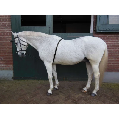 Abbildung von Horka Longierhilfe Schwarz Warmblut