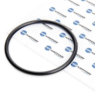 Abbildung von DR.MOTOR AUTOMOTIVE DRM053 Dichtung, Kraftstoffilter