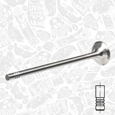 Abbildung von ET ENGINETEAM VE0056 Auslaßventil 22mm Auslassseite RENAULT: TWINGO 1, Kangoo I, CLIO 2, DACIA: SANDERO LOGAN MCV 2
