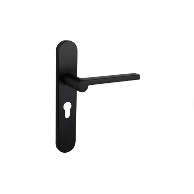 Abbildung von Lavuzo Türgriff Caserta Schwarz mit abgerundetem Schild PC55 Pro Set