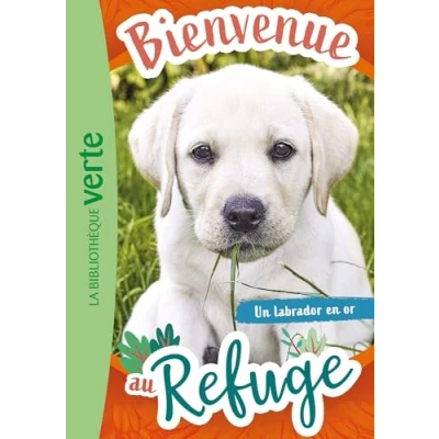 Abbildung von Bienvenue au refuge 08 Un labrador en or