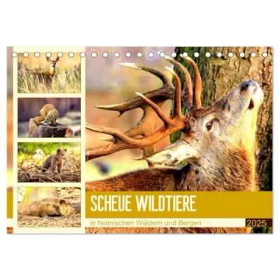 Abbildung von Scheue Wildtiere in heimischen Wäldern und Bergen (Tischkalender 2025 DIN A5 quer), CALVENDO Monatskalender