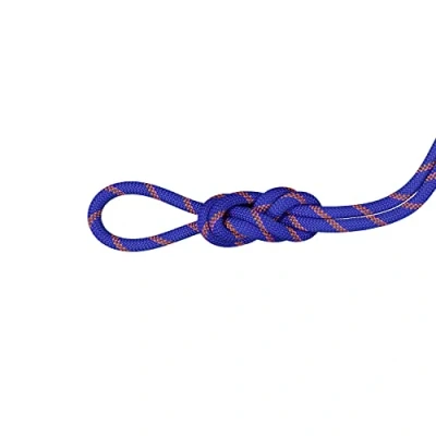 Abbildung von Mammut Alpine Sender Dry Rope 9.0 Kletterseil