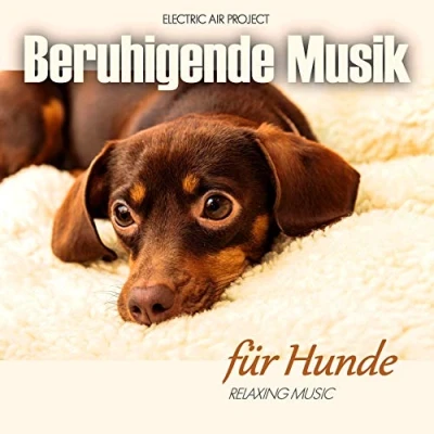Abbildung von Beruhigende Musik für Hunde (Entspannung Haustiere): Entspannung Ihr Haustier