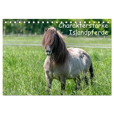 Abbildung von Charakterstarke Islandpferde (Tischkalender 2025 DIN A5 quer), CALVENDO Monatskalender