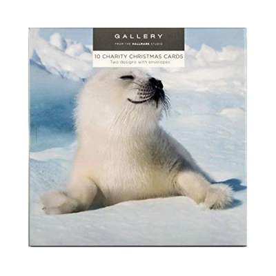 Abbildung von Hallmark Weihnachtskarten mit Polartieren, 10 Karten in 2 Foto Designs