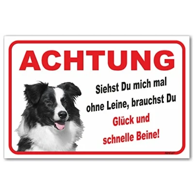 Abbildung von AdriLeo Schild Vorsicht Border Collie Ohne Leine (20x30cm) / Achtung Hund Wachhund Hütehund Hirtenhund