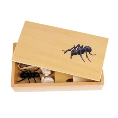 Abbildung von TimeTEX Lebenszyklus einer Ameise In Holzbox &quot;Montessori Premium&quot; Zur Veranschaulichung des Entwicklungsprozesses Maße der Holzbox: 23,1x12,1x5,6 cm