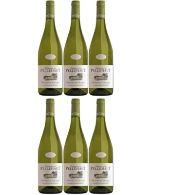 Abbildung von Domaine de Pellehaut Harmonie Gascogne Blanc Côtes Weißwein trocken IGP Frankreich I Versanel Paket (6 Flaschen)