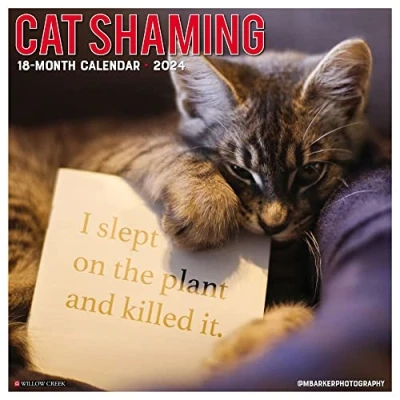 Abbildung von Cat Shaming 2024 Calendar