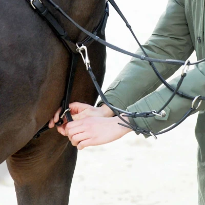 Abbildung von Kavalkade Brustgeschirr EveryDay Schwarz Vollblut/Warmblut
